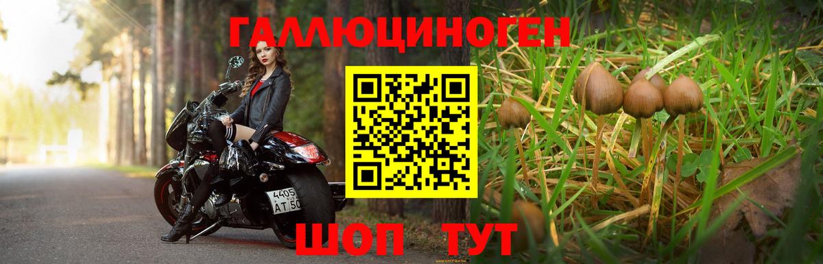 Псилоцибиновые грибы мухоморы  Вход с VPN  Верхняя Пышма  Псилоцибиновые грибы Psilocybe 